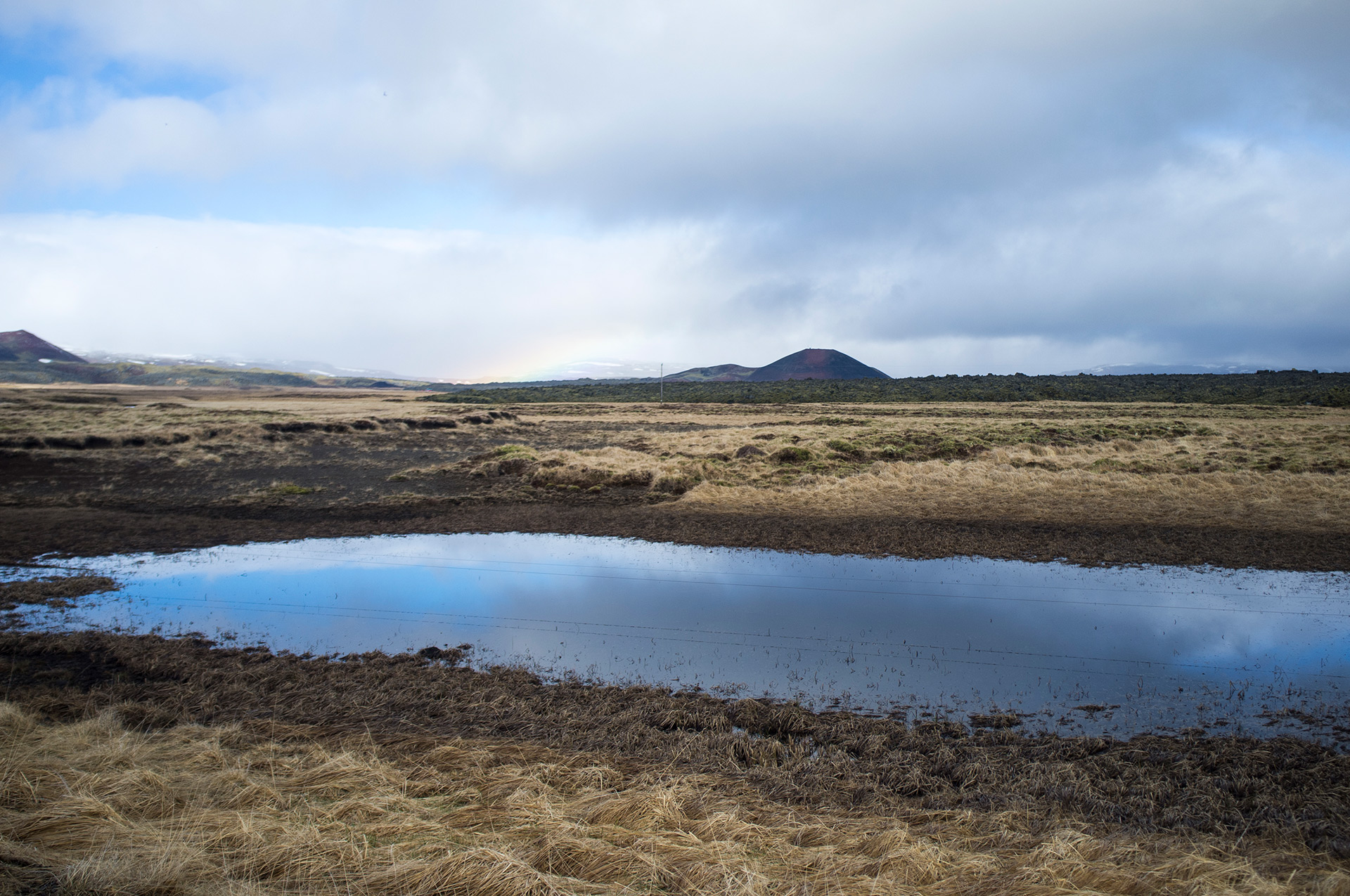 paysage islandais